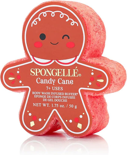 Spongelle Holiday Gingerbread Assorted Pack