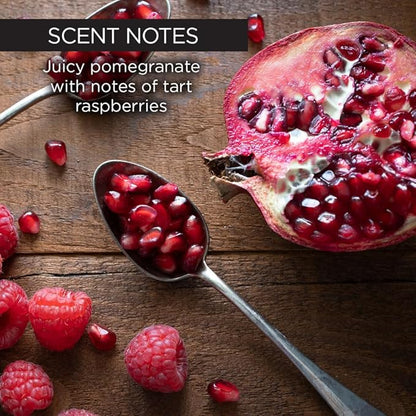 Whish Beauty Body Butter for Women - Moisturizing Body Lotion for Dry Skin - Antioxidant-Rich with Shea Butter, Aloe, & Raspberry Butter - Paraben & Sulfate Free - Pomegranate - 5 fl oz